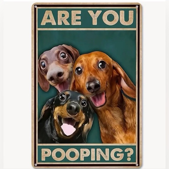 Funny Dachshund Bathroom Sign – “Are You Pooping?” - Picture 1 of 9